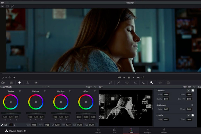 davinci-resolve raw
